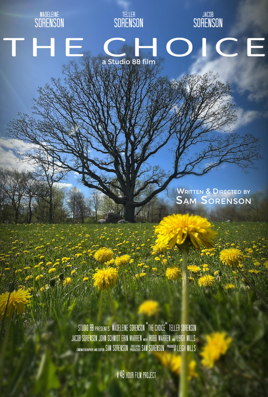 Filmposter for The Choice